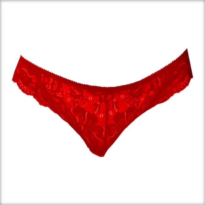 lace panties for women with a romantic touchLovely Lace Panty - Flourish