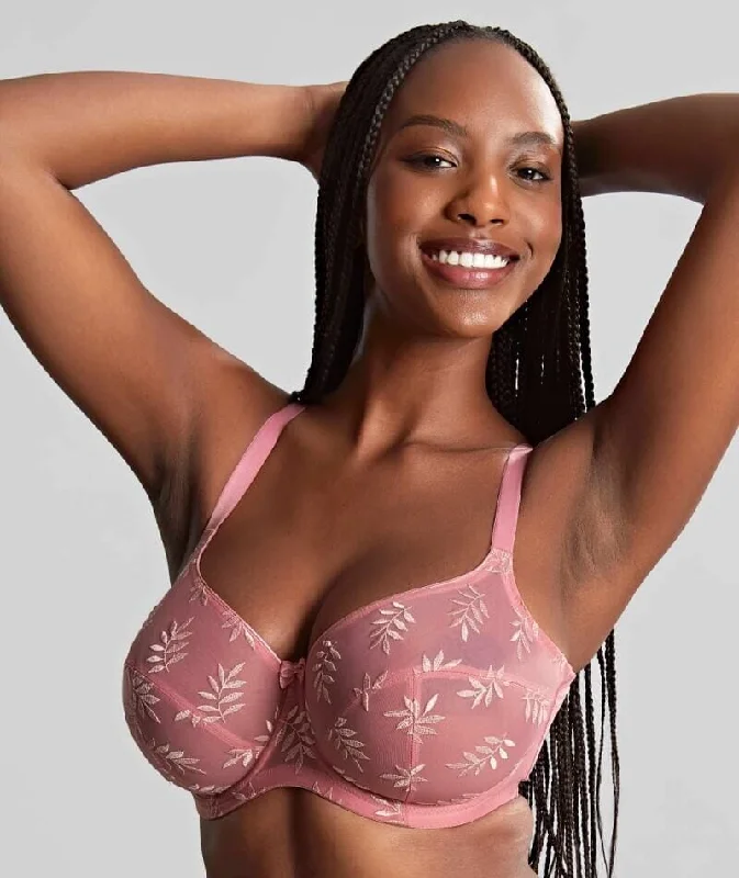 sexy lace push up bras for special occasionsPanache Tango Balconnet Underwire Bra - Soft Pink